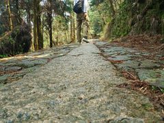 -大罗山风景区