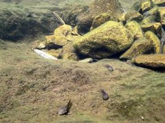 -东天目山风景区