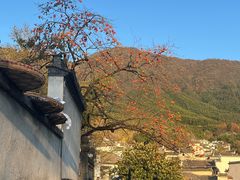 -塔川景区