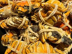 -太湖饭店玉兰厅(自助餐厅)