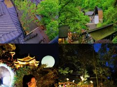 -巴倒烫陆派重庆火锅(南山店)