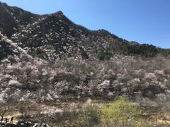 -碓臼峪自然风景区