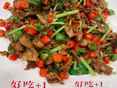 -正兴蜀园(科技园区店)