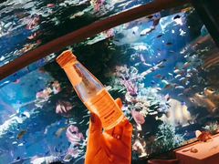 -迪拜帆船酒店海底餐厅