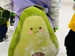 -绍兴启迪乔波冰雪世界