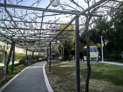-嘉定紫藤园