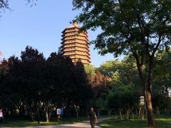 -玲珑塔公园