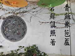 -鱼食饭稻·苏浙土菜17年老馆子(平江路店)