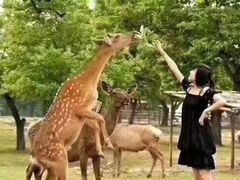 -西安秦岭野生动物园