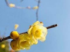 -尚湖风景区