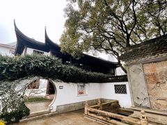 -上海醉白池公园