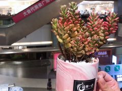 -AEON永旺(东方宝泰店)