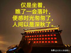-BUTTERFUL&CREAMOROUS 黄油与面包(三里屯太古里店)