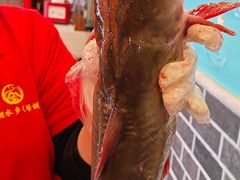 -江湖水乡铁锅炖魚(周庄嘉园店)