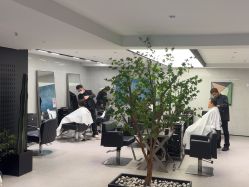 -付军剪艺JF ProSalon