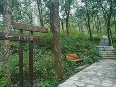 -北京鹫峰国家森林公园