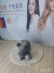 -石家庄苏亚美联臣医疗美容医院