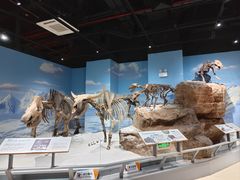 -正佳自然科学博物馆