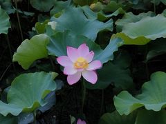 -贵阳蓬莱仙界