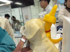 -达爱动物医院·犬猫分区·CT·复杂眼科(远洋山水分院)
