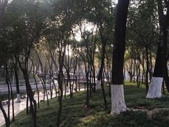 -西安市长乐公园