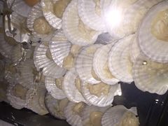 眼镜哥音乐烤吧-眼镜哥浦江夜宵大本营