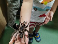 -藦茜花园宠物主题亲子互动体验馆(国顺东路店)