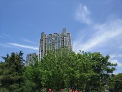 -丁丁猫重庆小面(徐州路店)