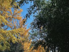 -城市运动公园(未央区)