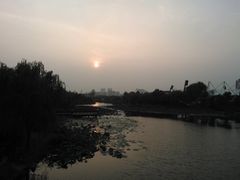 江湾公园-新江湾城公园