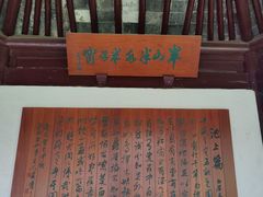 -上海醉白池公园