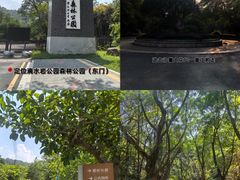 -滴水岩森林公园