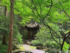 -虎跑公园