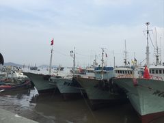 -沈家门渔港