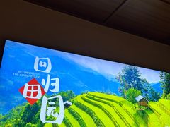 -杨厨的田园饭店(长城路店)