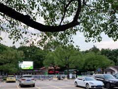 -上海共青森林公园