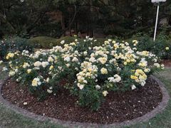 -人民公园(罗湖区)