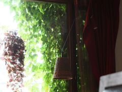 圆明园&nbsp;160-梦旅人咖啡馆快餐(成府路北河沿小区店)