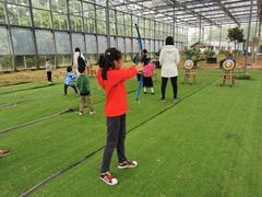 -前小桔亲子创意农场·草莓采摘·露营烧烤