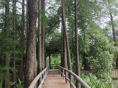 -东湖落雁景区