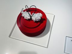 -BLACKSWAN黑天鹅(环球店)