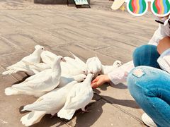 -天津妈祖文化园