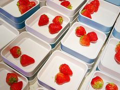 -北京海德酒店温泉