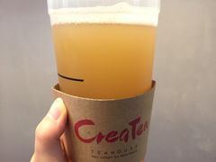 -去茶山