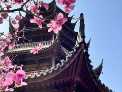 -红梅公园