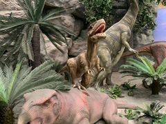 -国家自然博物馆