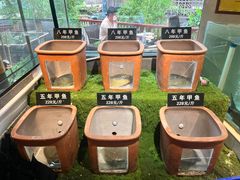 -王捌小院(红花坡店)