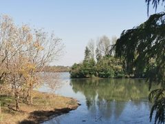 -上海海湾国家森林公园