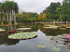 -中国科学院西双版纳热带植物园