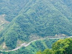 -四明山国家森林公园